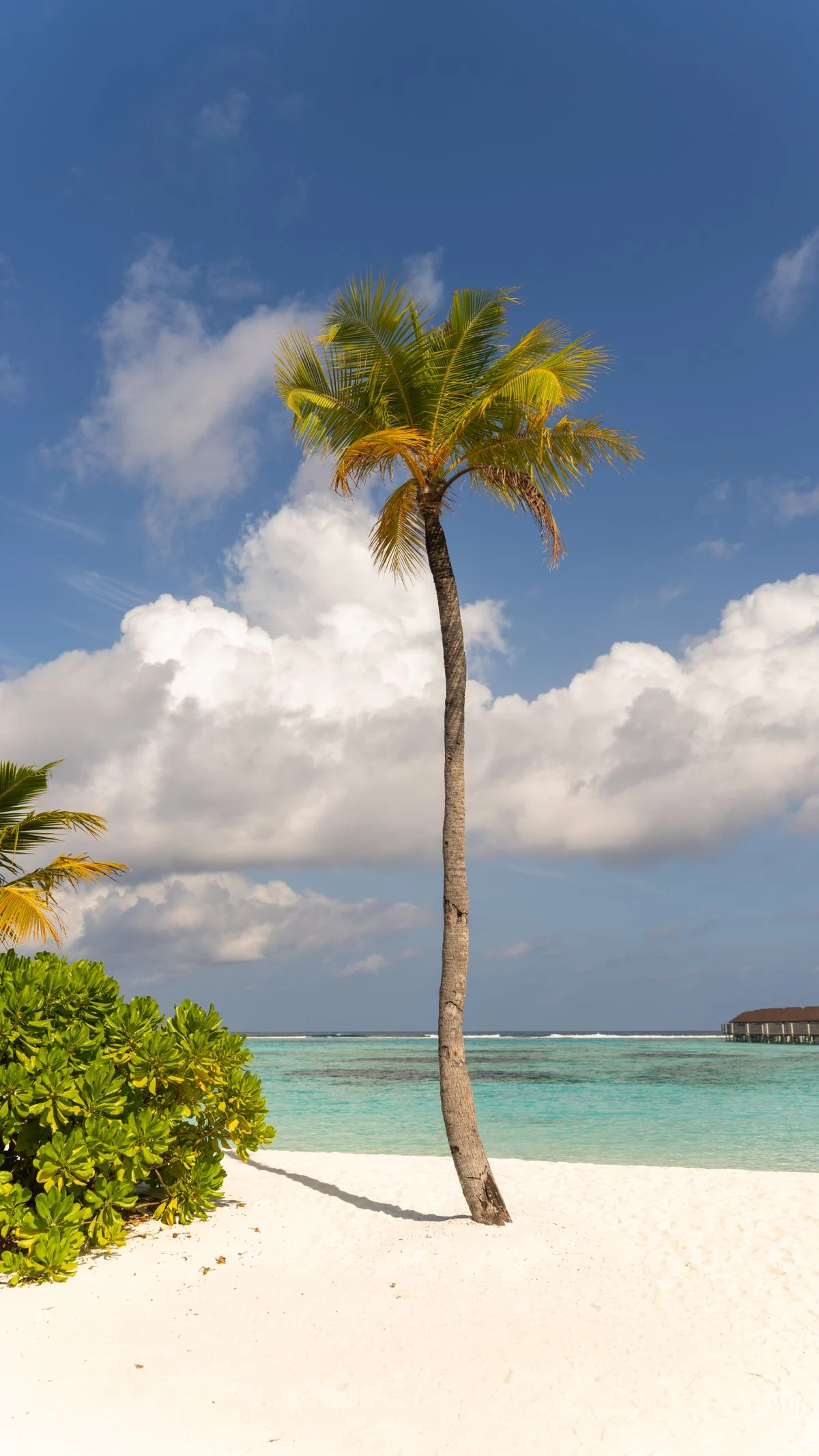 Island life in the Maldives